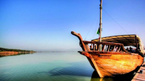 Roses by Lake Kinneret